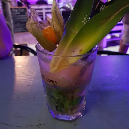 酒店 Fasthotel Castres